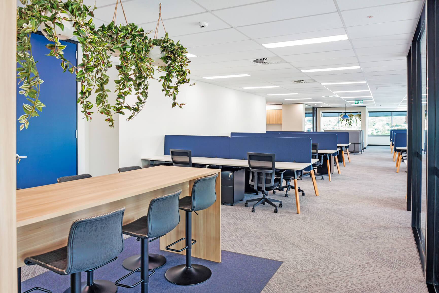 Commercial Office Fitouts