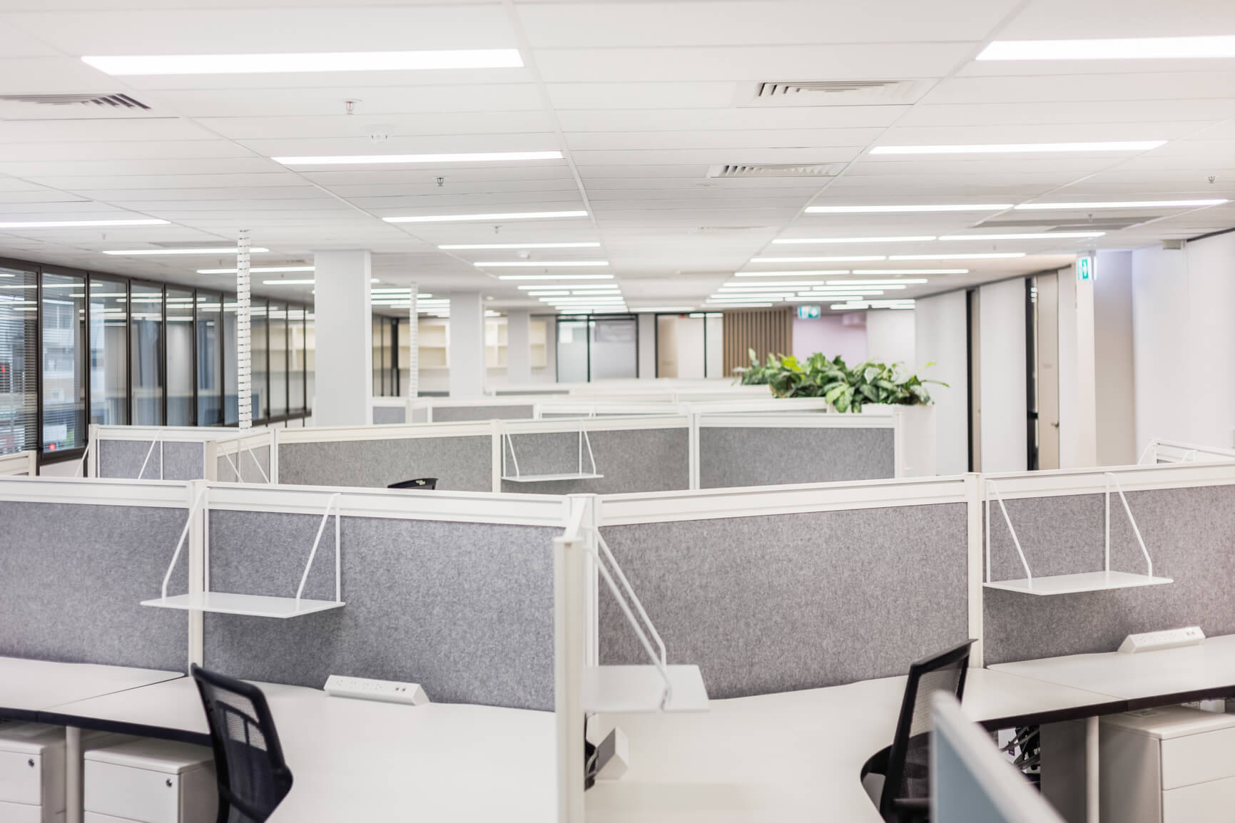 carers qld allied health office fitout by RAW Commercial Projects